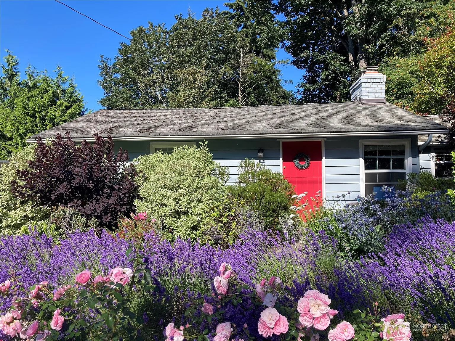 117 Olympic Avenue photo 1