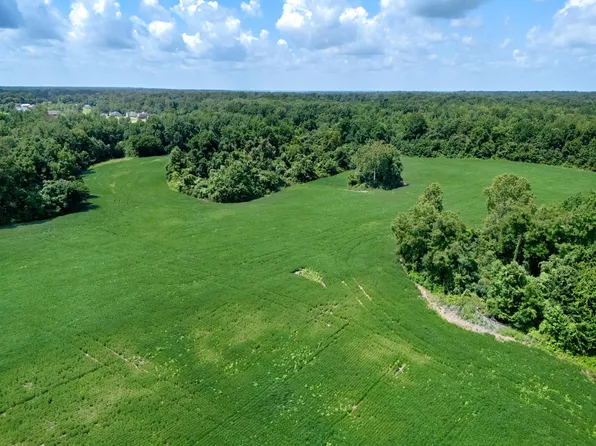 3 Dolan Rd, Drummonds, TN 38023
