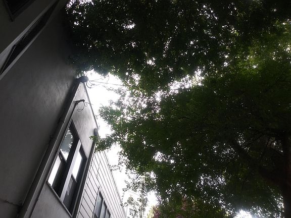 5th image of 980 Minnesota St #B