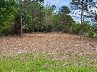 LOT 2 Highway 71 N, Wewahitchka, FL 32465