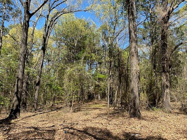 1st image of Lots 30 32 Armadillo Dr