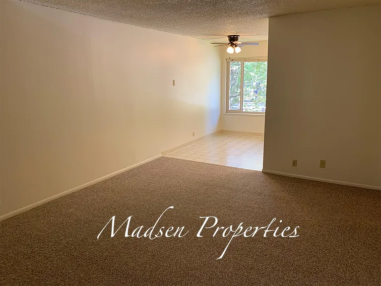 Palm Manor- 1017 Esplanade - 10 — Photo 6