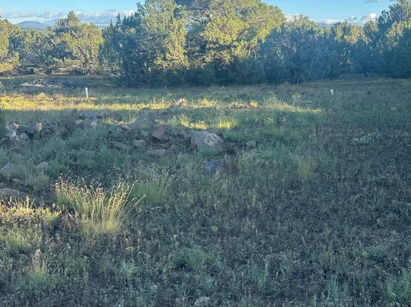35589 Us Highway 60, Vernon, AZ 85940