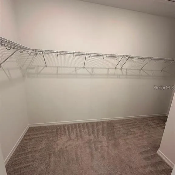 15030 Summer Harvest St — Photo 19