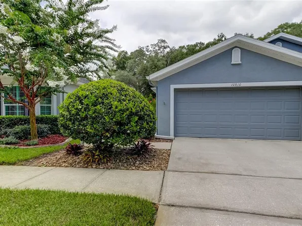 10810 ASHFORD OAKS DRIVE, TAMPA, FL 33625
