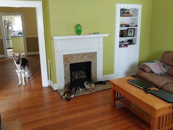 Gas fireplace in the living room