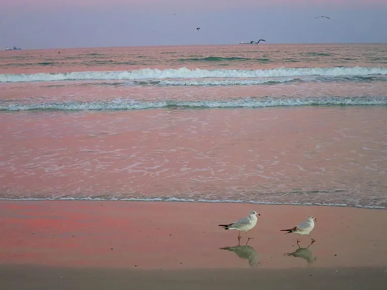 "Snowbirds" are welcome for a short stay!
