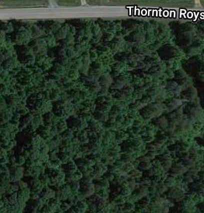 2nd image of Thornton Royster Rd