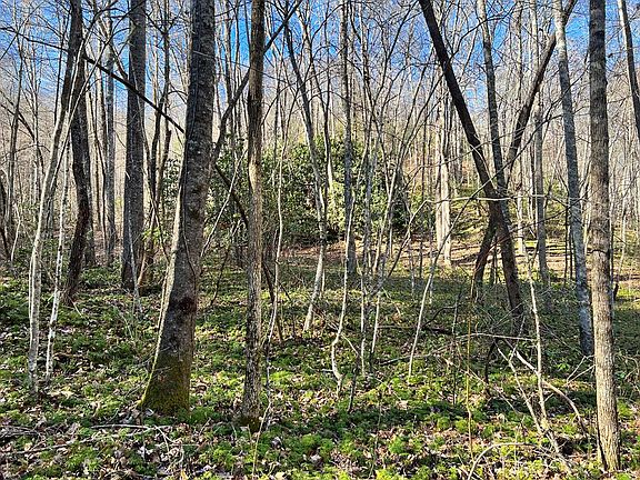 5th image of 359 Loon Ln Lot 57