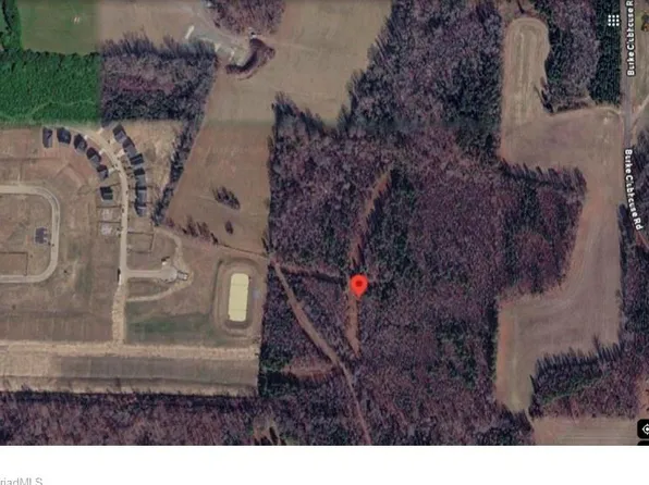 3004 Zz County Farm Rd, Gibsonville, NC 27249