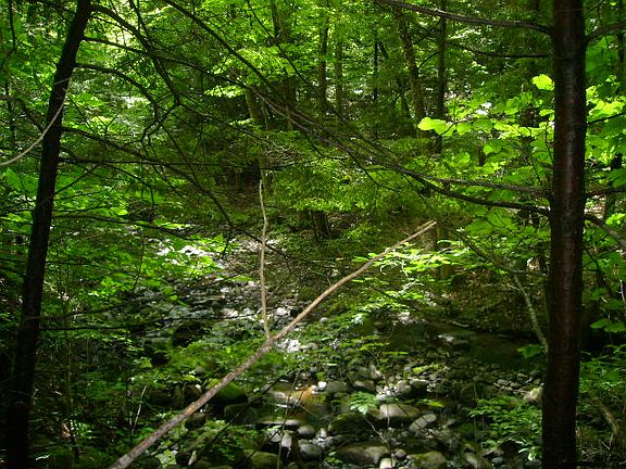 5th image of 519 Wilton Greenfield Road