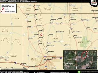 12145 Cavett River Rd, Gilliam, LA 71029