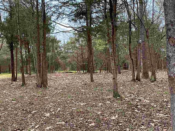 4th image of LOT 1 Eno Springs Dr Lot 1