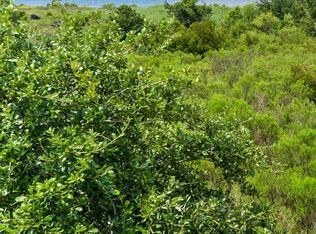 0 Pine Tree Rd, Bay Saint Louis, MS 39520