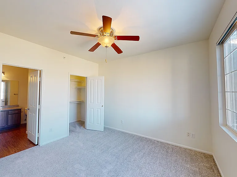 Spacious apartment bedroom with plush carpet flooring.
