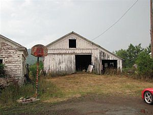 3rd image of 29 Hillis Ln