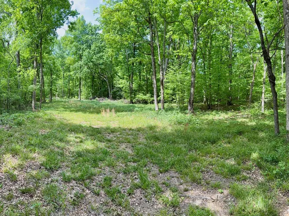 9346 Christiana Fosterville Rd Lot 3, Christiana, TN 37037