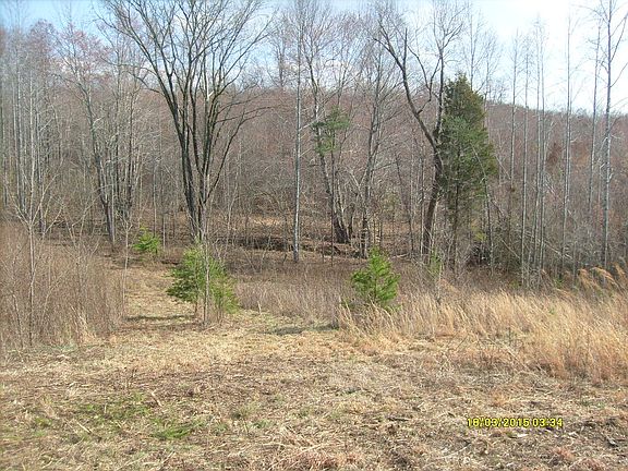 5th image of 25 Birchwood Dr