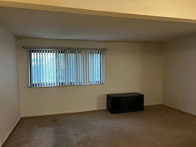 2 bed, 1.0 bath, 733 sqft, $1,275 — Photo 4