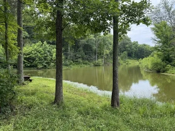 0 Pea Ridge Rd, Mount Olivet, KY 41064