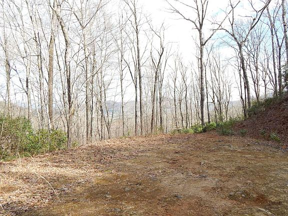 5th image of 2345 Little Cove Dr