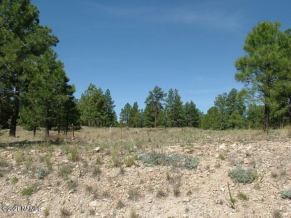 5th image of 3243 S Tehama Cir