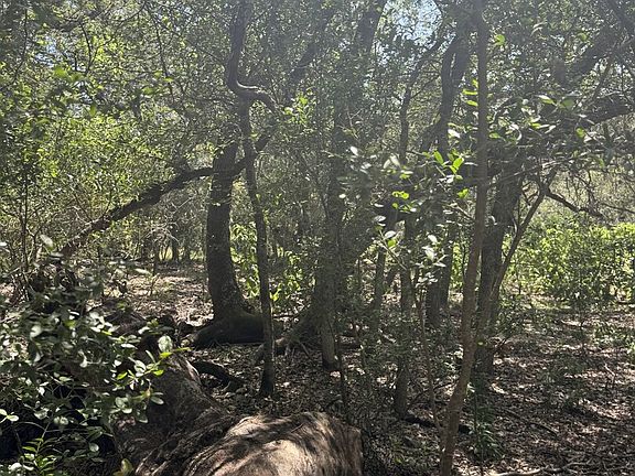 5th image of 13518 DEER MEADOW LN LOT 301