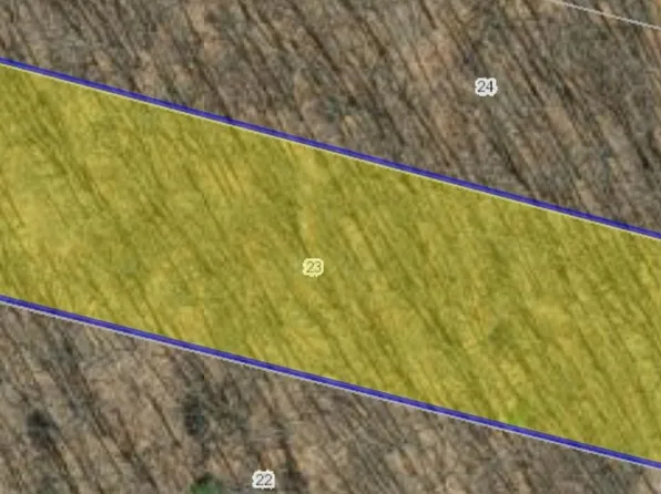 Wildwood Ln, Shenandoah, VA 22849