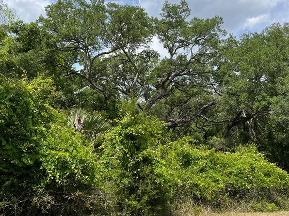 0 NW 70th Cir, Chiefland, FL 32626