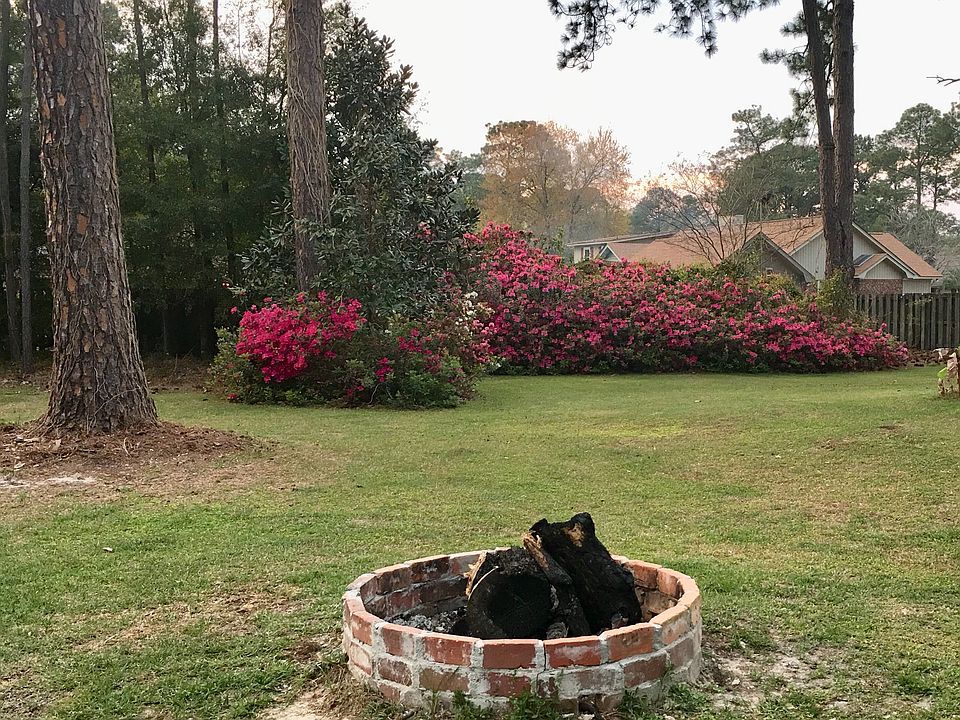 Back lawn and fire pit 