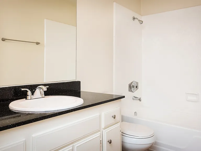 Bathroom Vanity with Tub Shower