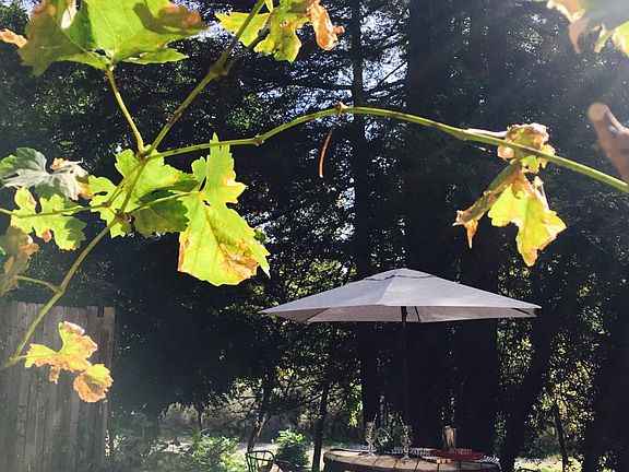 Backyard area overlooking the Russian River, (these furnishings are not included).