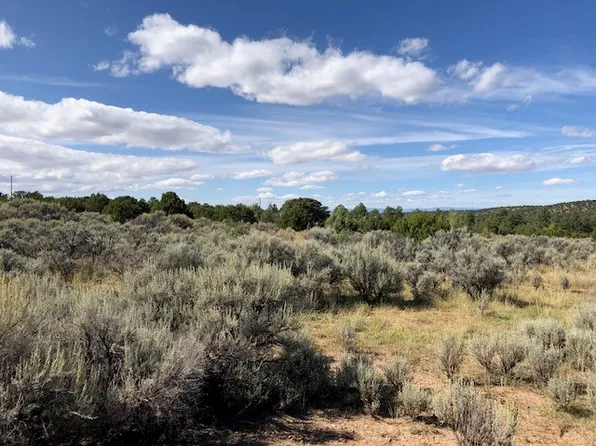 TRACT State Highway 76 #F, Truchas, NM 87578