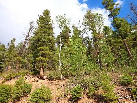 4th image of LOT 6078 Vreeland Road