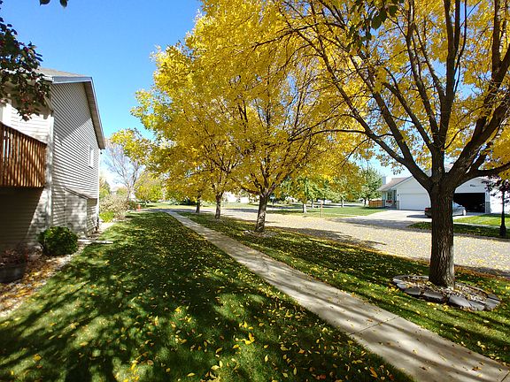 Beautiful mature trees