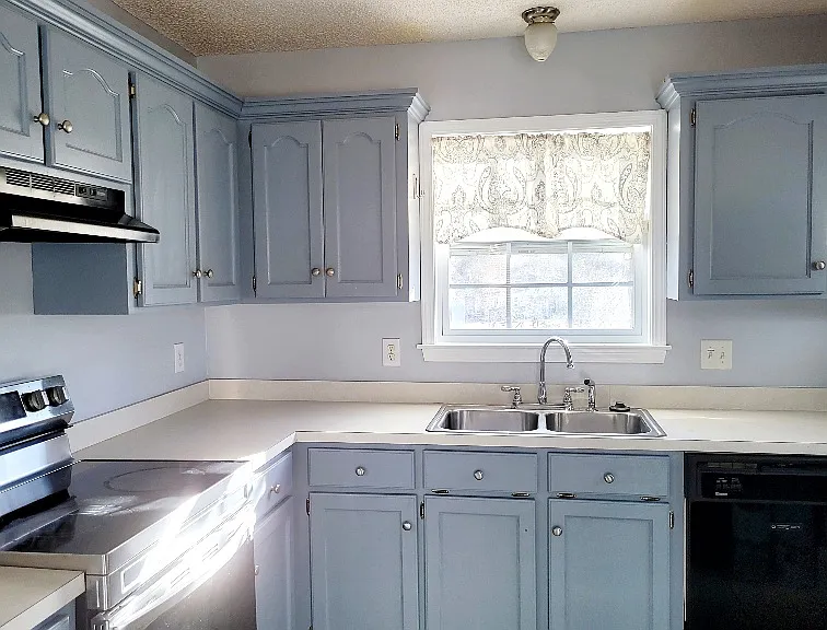 114 Wild Fern Ct — Photo 5