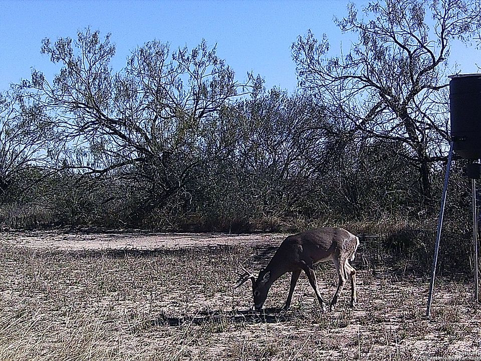 1st image of 392 TENAZA