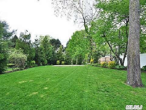 5th image of Viola Dr