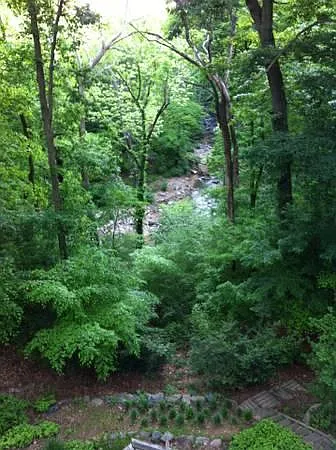 View from Loft