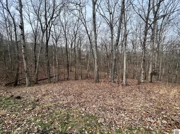0 Tearose Dr #810-812, New Concord, KY 42076