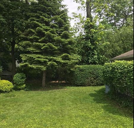 Totally Private Green Space