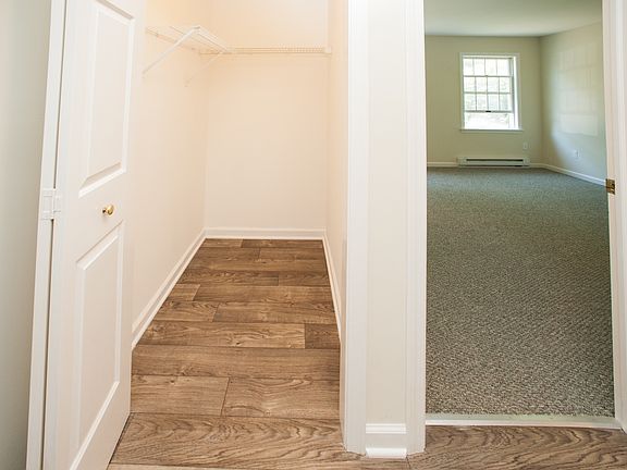 Walk in closet in foyer