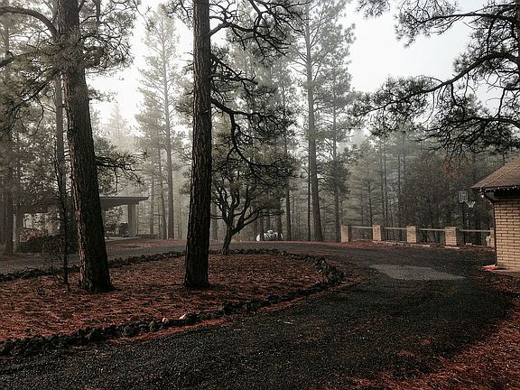 driveway and ramada in back