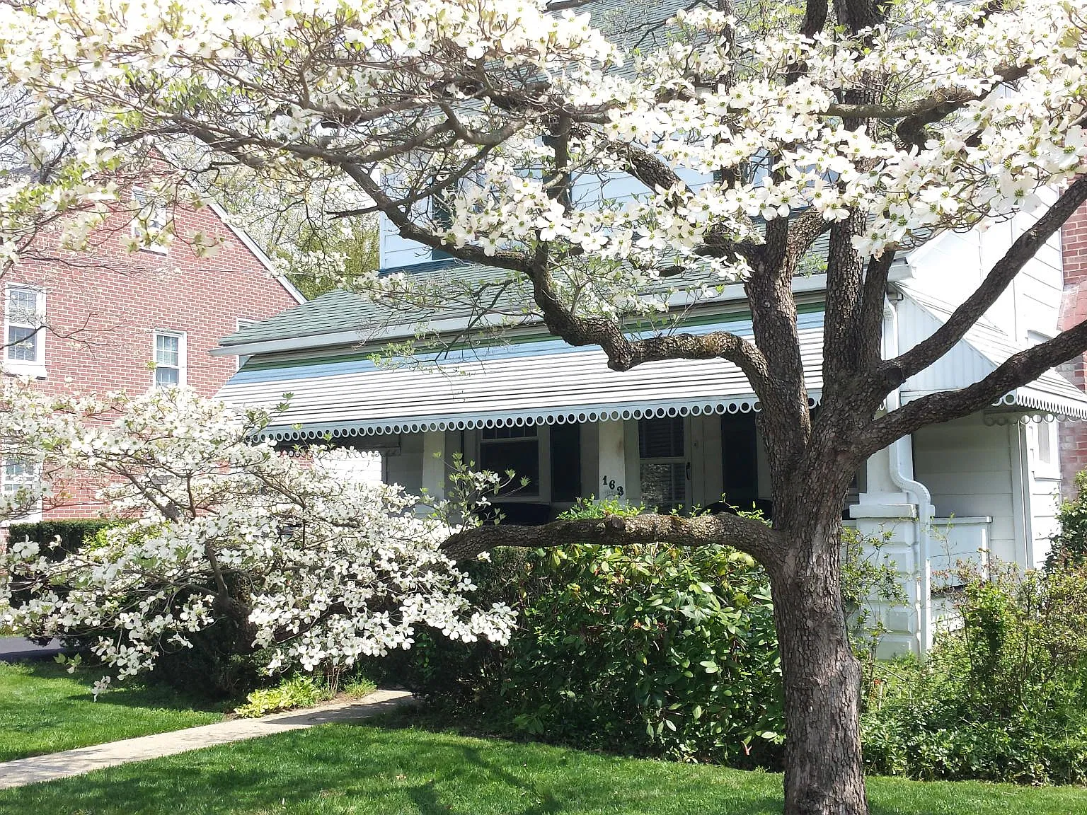 4 bed, 2100 sqft, $3,700 — Photo 1