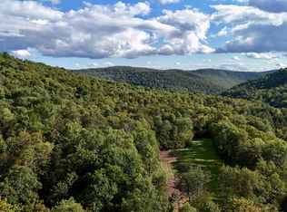 216 Neer Rd, Long Eddy, NY 12760