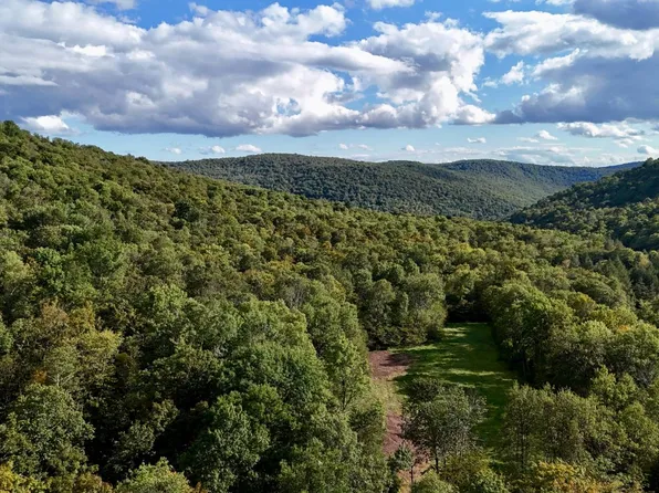 216 Neer Rd, Long Eddy, NY 12760