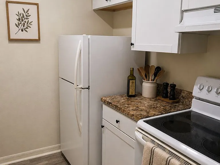 4846 S Semoran Blvd #1301 — Photo 10