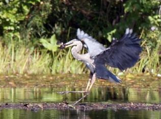 100 Blake Corner Rd, Phillipston, MA 01331