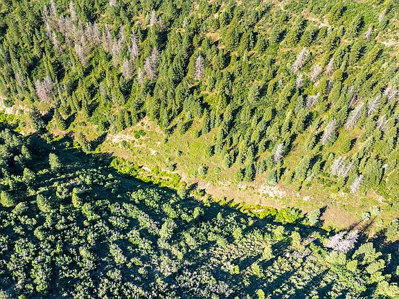 5th image of 1273 County Road 5