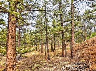 75 Huerfano Dr, Hartsel, CO 80449